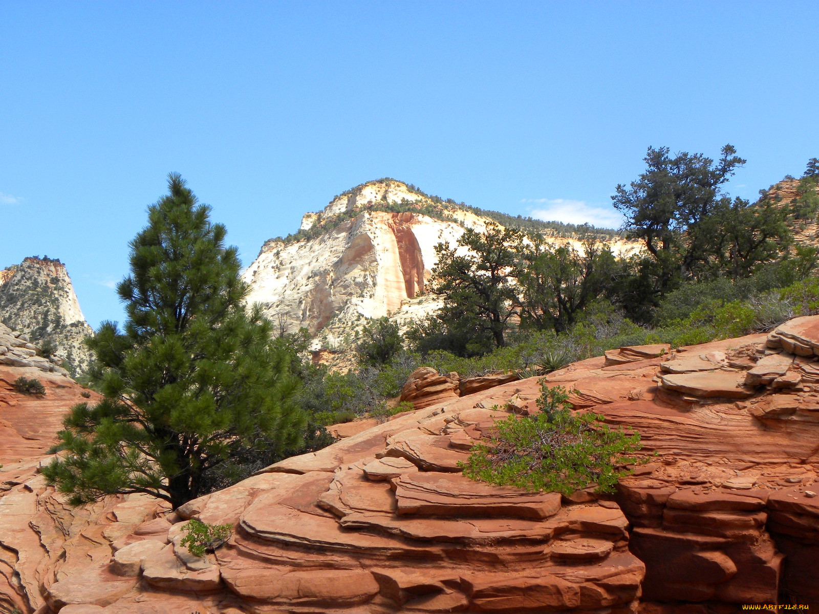 zion, national, park, , , 